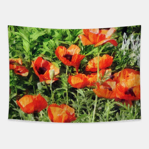 Poppies - Field of Red Poppie Tapestry by SusanSavad