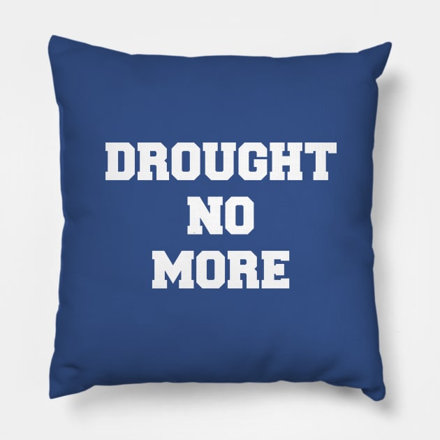 Drought No More Pillow by nyah14