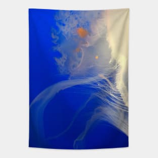 Award-Winning Floating Jelly Fish Tapestry