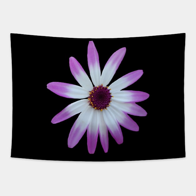 purple flower, blossom, nature,blooms Tapestry by rh_naturestyles