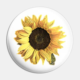 Sunflower Pin