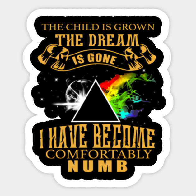 Pink Floyd The Child Is Grown The Dream Is Gone And I Have Become