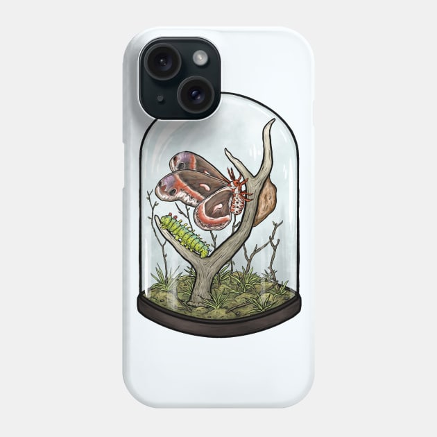 Cecropia Moth Terrarium Phone Case by Jewelia