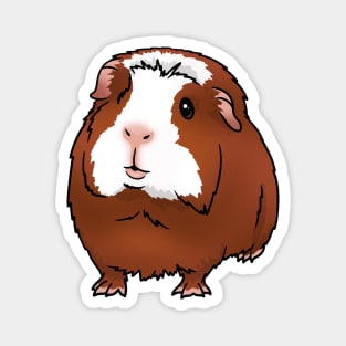 Red with White Face Crested Guinea Pig Magnet