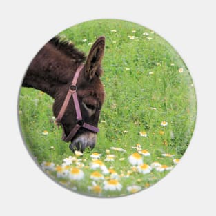 Happy Donkey Pin