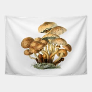 Shaggy Scaly Cap Mushroom Vintage Mycology Painting Tapestry