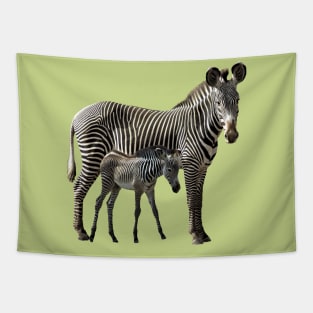 Grevy Zebra Mama with Baby in Kenya / Africa Tapestry