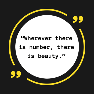 Beauty in Numbers T-Shirt