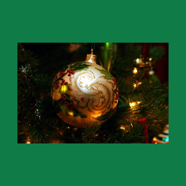 Christmas Ornament 5 by Rob Johnson Photography