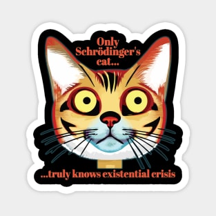 Schrodinger's cat existential crisis Magnet