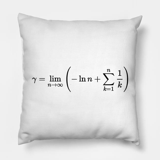 Euler constant, calculus and math Pillow by NoetherSym