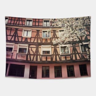 pink facade Tapestry