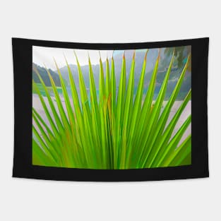 Palm Fronds Tapestry