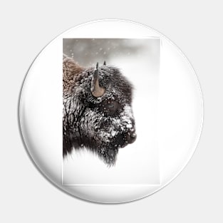 American bison (C011/1570) Pin