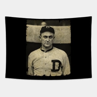 Ty Cobb - 366 Career Average Tapestry