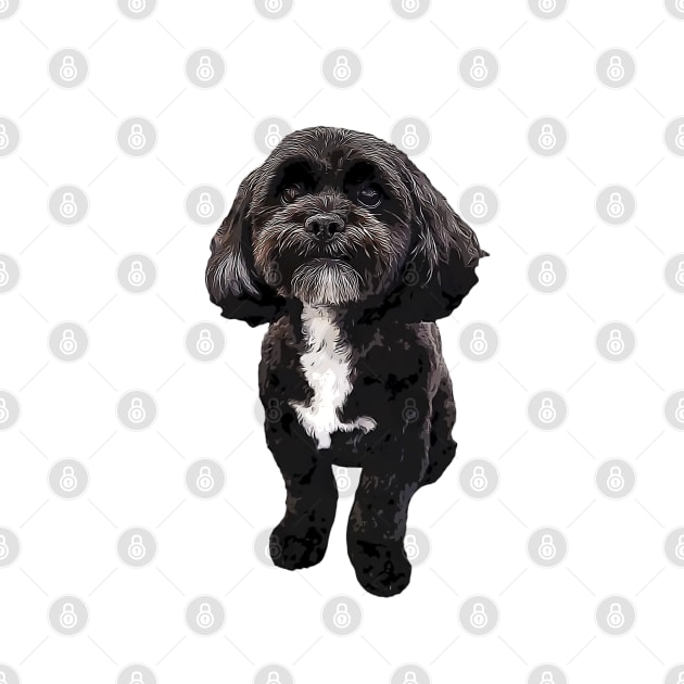 Shih Tzu Black Cute Puppy Dog by ElegantCat