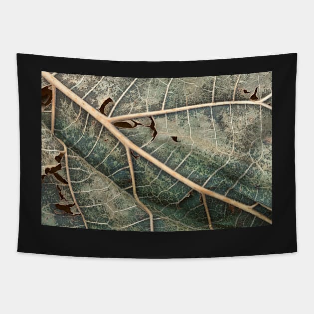 Organic Decay Tapestry by somadjinn