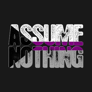 Assume Nothing Demisexual Pride T-Shirt