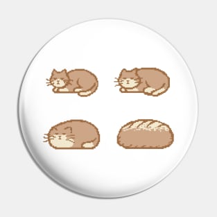 Cat Bread Loaf Evolution Pin