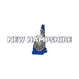 New Hampshire Colored State T-Shirt