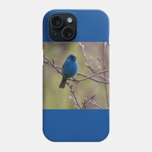 Indigo Bunting No.4 Phone Case