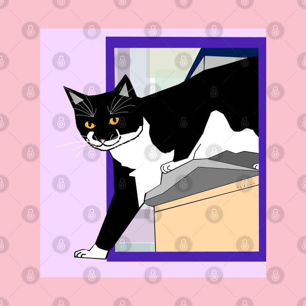 Cute Tuxedo Cat up high. Stepping outside the box Copyright by TeAnne by TeAnne