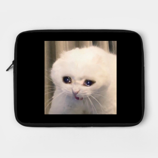 Cat Reaction Reactioncat Catreaction Cry Meme Meme Hd Png