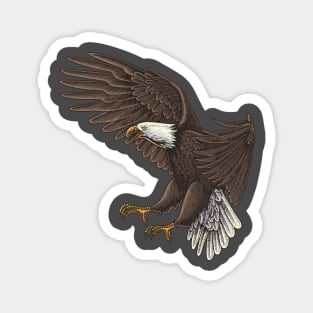 American Bald Eagle Magnet