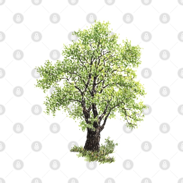 April birthday elm tree by birthflower