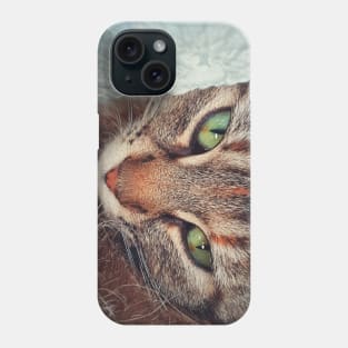 Closeup cat face Phone Case