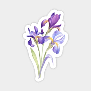 Iris Flowers Small Bouquet Magnet