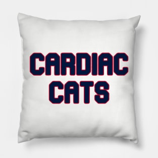 Florida Panthers Pillow