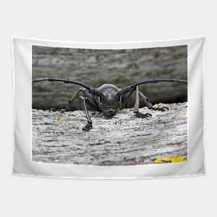 Longhorn Beetle Tapestry