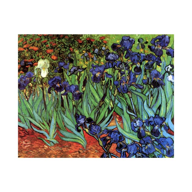 Irises by Vincent van Gogh by MasterpieceCafe