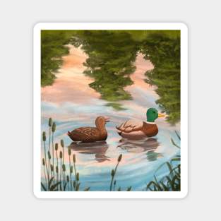 Ducks swimming on pond Magnet