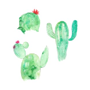 Lots of cacti T-Shirt