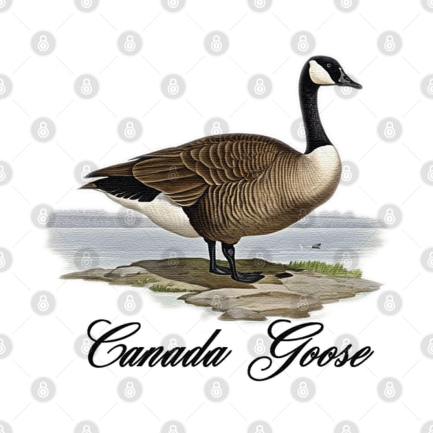 Canada Goose standing on an island by JnS Merch Store