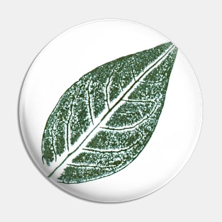 Leaf Of The Blueberry Pin