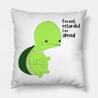 Special Turtle Pillow