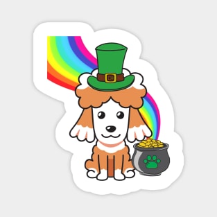 Funny poodle celebrates st patricks day Magnet