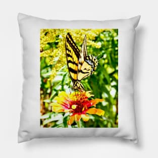 Yellow Butterfly Pillow