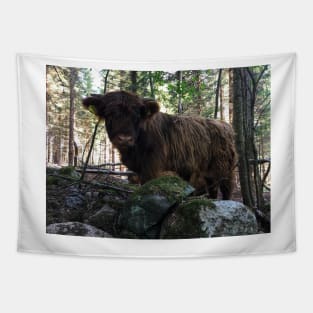 Scottish Highland Cattle Calf 1802 Tapestry