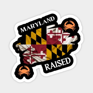 MARYLAND RAISED MARYLAND FLAG SET DESIGN Magnet