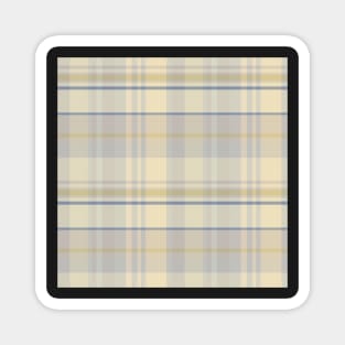 Cottagecore Aesthetic Iona 1 Hand Drawn Textured Plaid Pattern Magnet