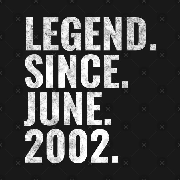 Legend since June 2002 Birthday Shirt Happy Birthday Shirts by TeeLogic