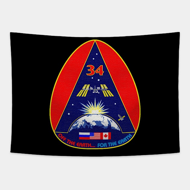 Black Panther Art - NASA Space Badge 160 Tapestry by The Black Panther