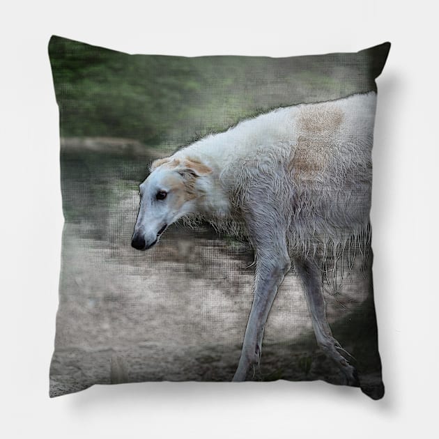 greyhound, whippet - 02 Pillow by hottehue