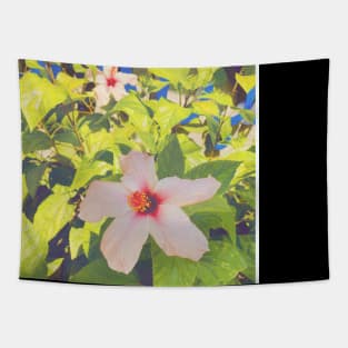 Pretty Pink Flower Photography design with blue sky nature lovers Tapestry