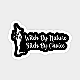 Womens Witch By Nature Bitch By Choice Magnet