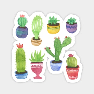 Watercolor Pattern of Cactus and Succulents Magnet